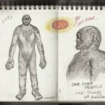 32 dibujos de diferentes extraterrestres que han visitado al contactado Ray Kosulandich