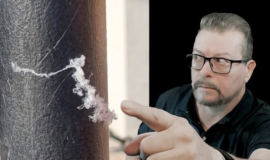 Escandalosa aparición de extrañas Fibras en los Cielos