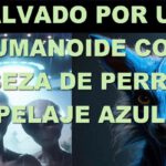 Un humanoide con cabeza de perro у pelaje azul salvó a un hombre secuestrado por los extraterrestres grises
